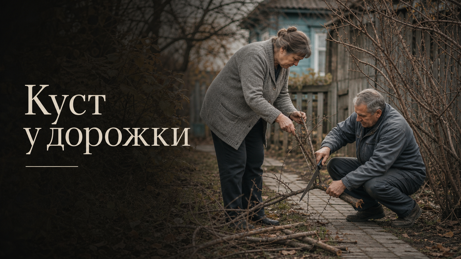 Куст у дорожки